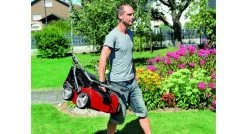 Scarificateur électrique Einhell 3420561 - Scarificateur électrique pour gazon GE-SA 1435 - 3420561 -Outils de jardinage Soldes 3a933e11366819d4f497bbfbd9373e99